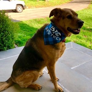 Meet your Posher, Ash